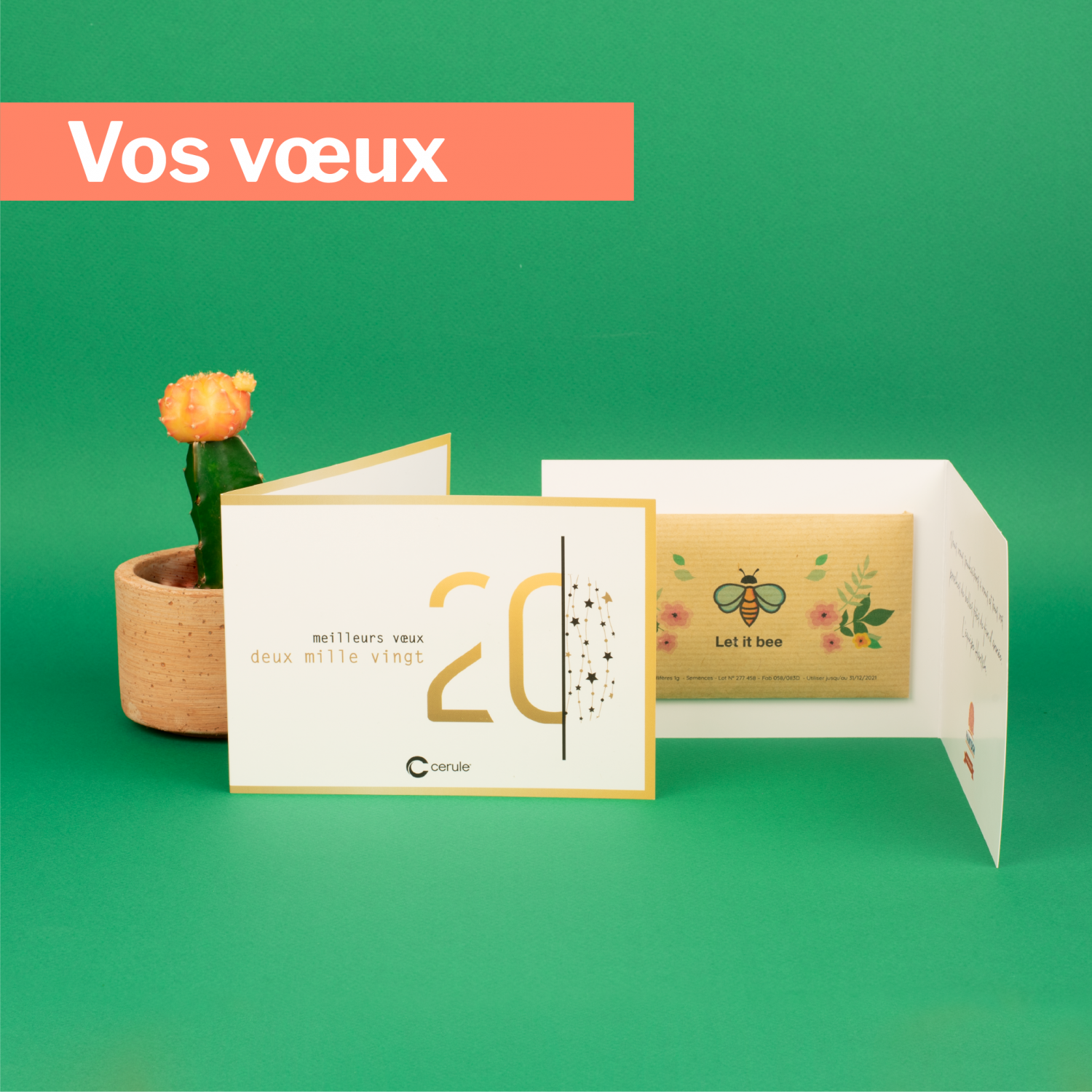 Des Vœux Qui Envoient Avec Des Cartes De Voeux Ecolo Gifts For Change